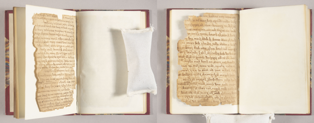 Left: Handwritten manuscript page from Bradford’s Observations bound in 19th century binding against a white background
Right: Handwritten manuscript page from Bradford’s Observations bound in 19th century binding against a white background, rising up from the page when the book is set on its spine.